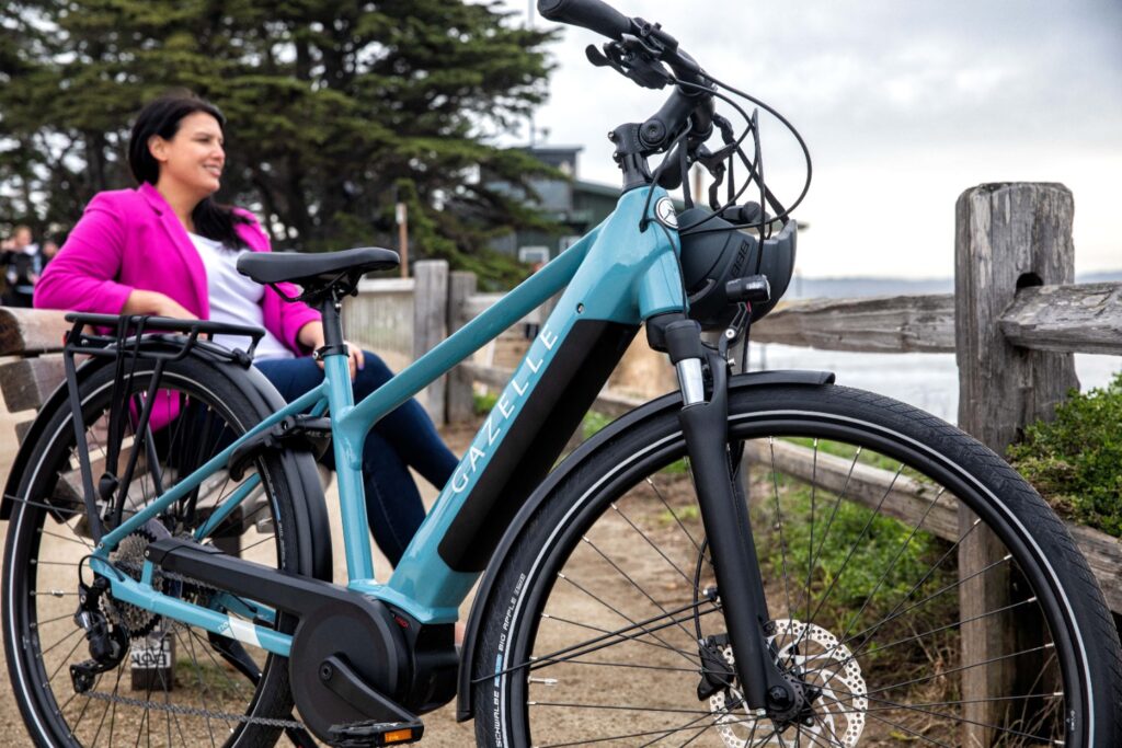 blue gazelle electric bike