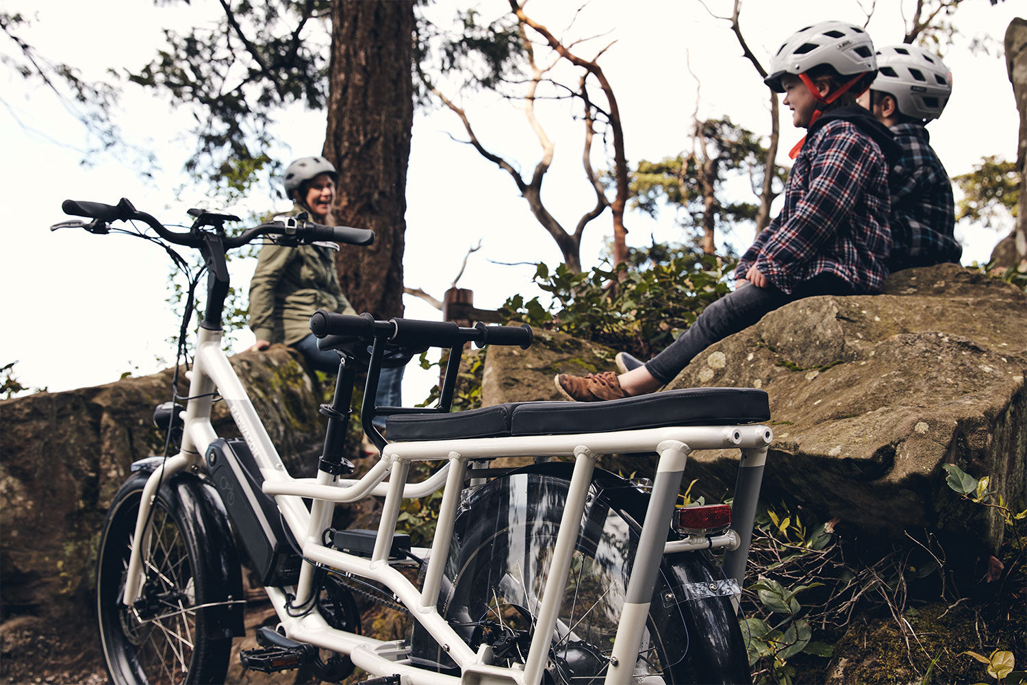 RadWagon 4 practical cargo electric bike