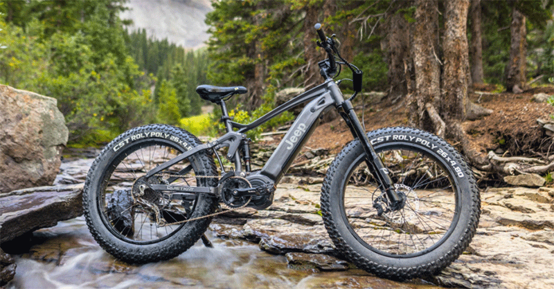 quietkat jeep hunting bicycle